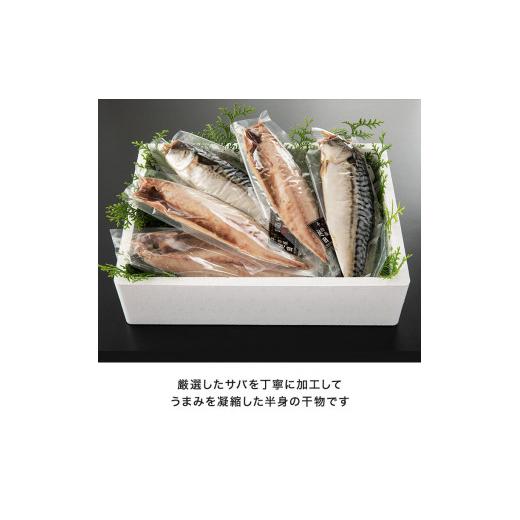 ふるさと納税 茨城県 大洗町 干物 サバ開き 半身 カジマ 特大 肉厚 さば 鯖 高級 焼き魚