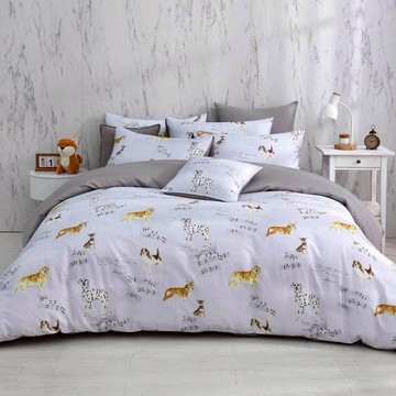 鴻宇 美國棉300織 床包枕套組 床包被套四件組 美國棉 瑞奇樂曲 台灣製2505