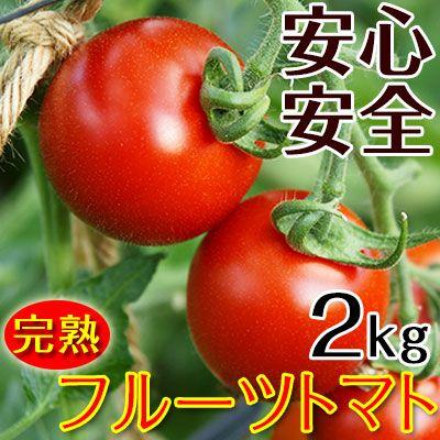 2023年ご予約開始 こだわりフルーツトマト2kg（送料無料）匠の里紀州が育てる減農薬、減化学肥料栽培 安心安全なコクのある驚きの甘いトマトを産地直送　(fy7)