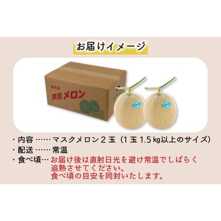 ふるさと納税 青肉マスクメロン（1.5kg以上 2玉入）味も見た目も抜群！アールスメロン    あわら 期間限定 果物 フルーツ 産地直.. 福井県あわら市