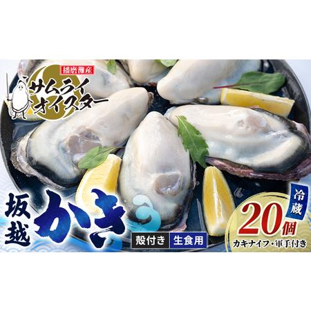 ふるさと納税 牡蠣 生食 坂越かき 殻付き 20個 牡蠣ナイフ・軍手付き サムライオイスター 生牡蠣 冬牡蠣 兵庫県赤穂市