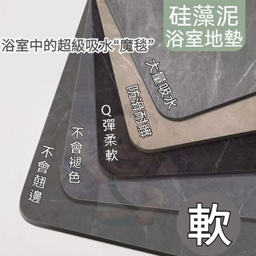 🎉✨ 日本矽藻土軟地墊 軟式矽藻土地墊 珪藻土地墊 硅藻土地墊 矽藻泥地墊 腳踏墊 浴室衛生間吸水地墊 速幹防滑腳墊