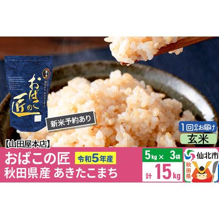 ふるさと納税 令和5年産 仙北市産 新米予約 おばこの匠 15kg（5kg×3袋）秋田県産あきたこまち 秋田こまち 秋田県仙北市