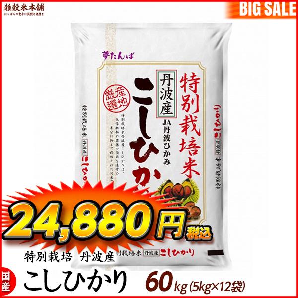 特別栽培米 コシヒカリ 60kg(5kg×12袋) 丹波産 令和5年産 単一原料米 ＼セール／