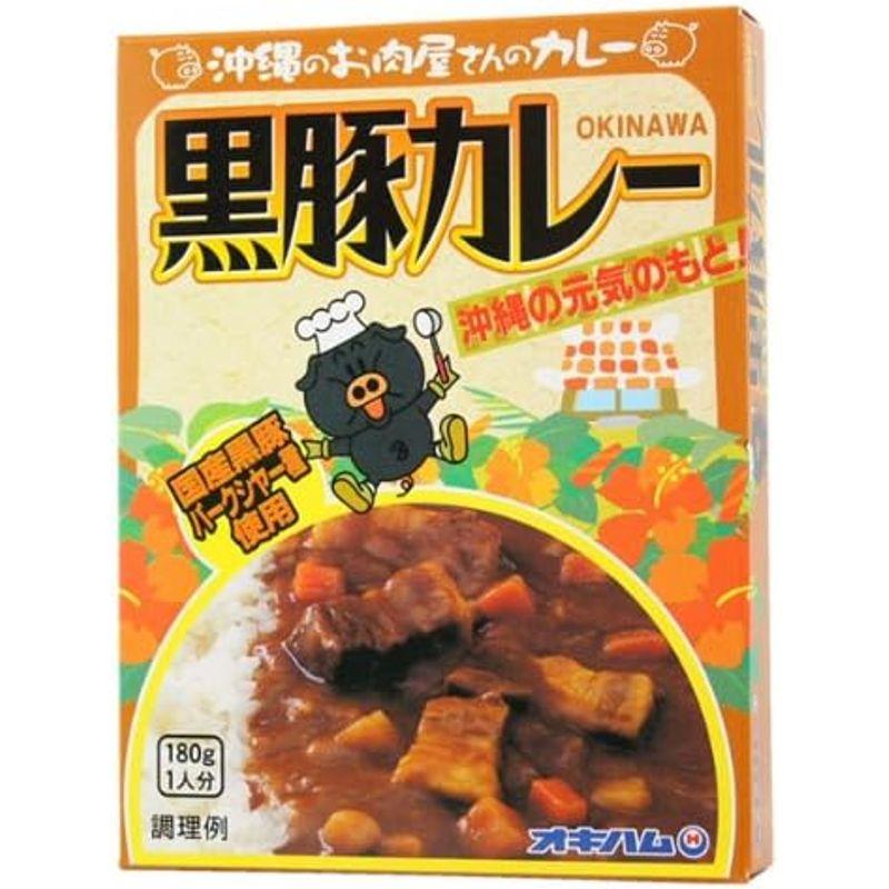 沖縄黒豚カレー 180g×10個セット