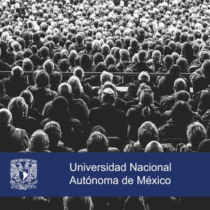 Pensamiento sistémico