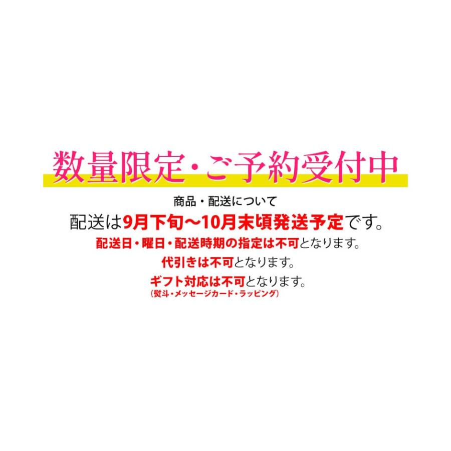 2024年分予約 国産 松茸 約500g 詰め合わせ  まつたけ マツタケ つぼみ 大 中 小 開き 岩手 SSS