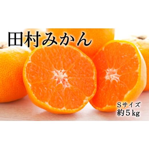 ふるさと納税 和歌山県 紀美野町 田村みかん約5kg（Sサイズ・秀品） ／ 果物 くだもの フルーツ 蜜柑 みか…