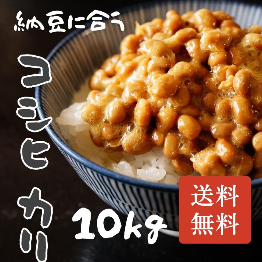 新米 お米 10kg 千葉県産 こしひかり 令和5年 玄米 白米(9kg) 送料無料 無料精米 一等 単一米 検査米