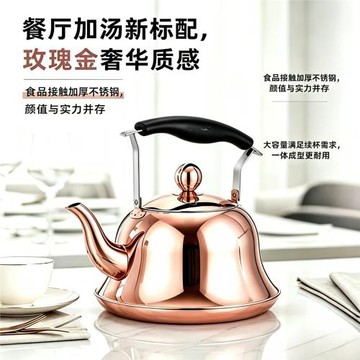 鍍鈦不銹鋼燒水壺煤氣爐商用燃氣灶開水壺熱水壺電磁爐大容量加厚