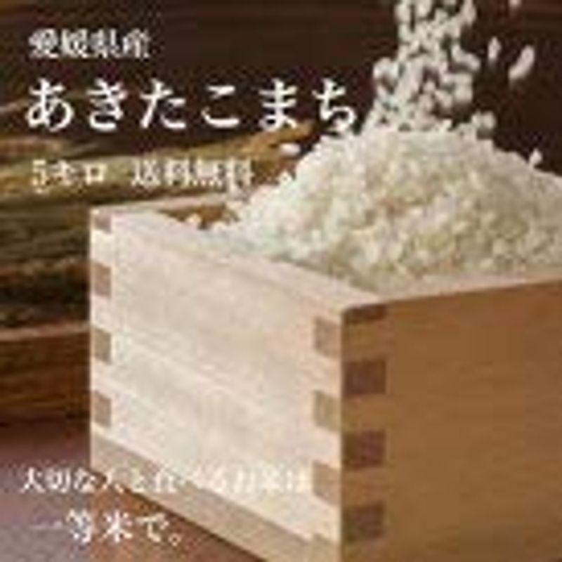 愛媛県産 一等米 あきたこまち 5kg 令和3年産