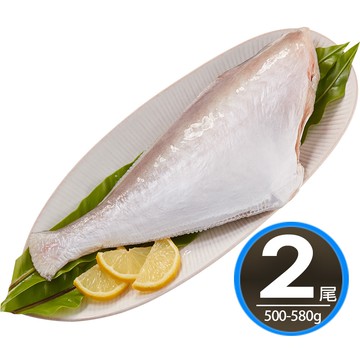 【華得水產】新鮮三去剝皮魚2尾組(500-580g/尾)