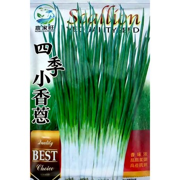 【原廠包裝】四季小香蔥種子 台灣現貨 廚房陽台必備 全年可種 現採現吃 料理調味 蔥花蛋 增香點綴 快速收成 新手超好種