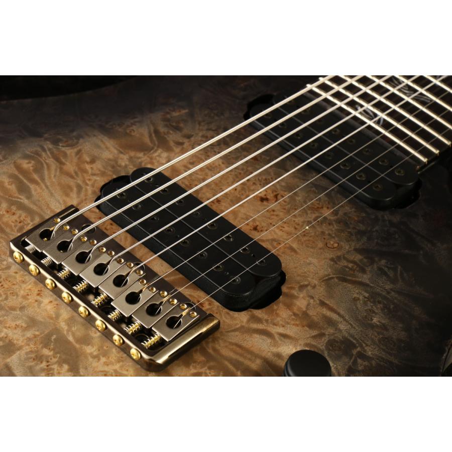 Paul Reed Smith (PRS)   Private Stock #9660 Custom 24 8-String Frostbite Glow(S N:22-335632)(御茶ノ水本店)