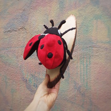 帶來好運的七星瓢蟲