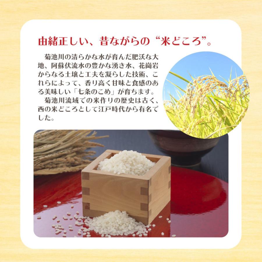 熊本県産 七城のこめ 20kg (5kg×4袋）白米 おうち時間 おすすめ おいしい おにぎり お弁当 送料無料