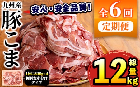 akune-7-13 ＜定期便・全6回(偶数月)＞豚肉こま切れ(500g×4パック×6回・総量12kg)国産 ぶた肉 肉 お肉 豚こま 小分け 個包装 小間切れ 冷凍 定期便7-13