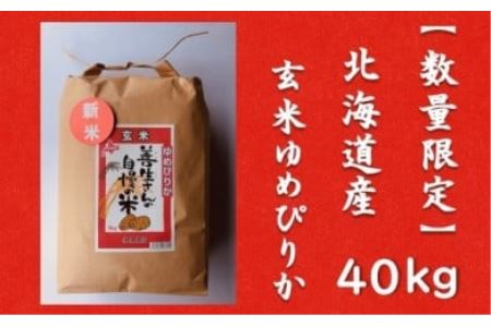 令和5年産！『100%自家生産玄米』善生さんの自慢の米 玄米ゆめぴりか４０kg※一括発送