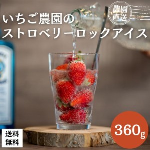 いちご農園のストロベリーロックアイス　360g　伊賀いちご農園　農園直送(※メーカー直送品）