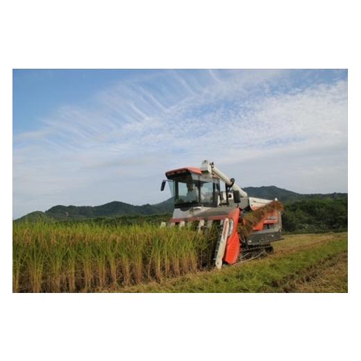 ふるさと納税 兵庫県 丹波市 杵つき丸もち　 600g×4袋