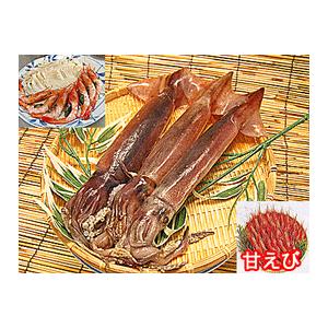 するめいか 2杯 日本海直送＋甘エビ １５０ｇ セット 船上急速冷凍で鮮度抜群 生お刺身用に 新鮮冷凍スルメイカ甘えびセット 通販