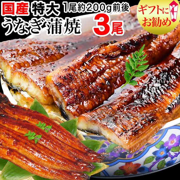 ギフト 70代 うなぎ 蒲焼き 国産 ギフト 鰻 うなぎ蒲焼 九州産 3尾 特大(約180〜200g前後×3尾)60代 80代 送料無料 グルメ 魚介 魚