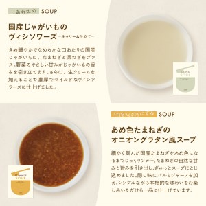 PIETRO A DAY スープ10食セット