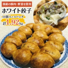 ホワイト餃子　冷凍(16個入り×4パック)