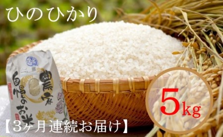 米 令和5年度 ひのひかり 5kg×3回お届け