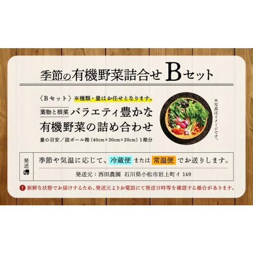 ふるさと納税 石川県 小松市 西田農園　季節の野菜詰合せ　Ｂセット