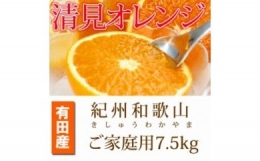 紀州有田産清見オレンジ　７.５kg※2024年3月下旬頃～4月下旬頃に順次発送予定