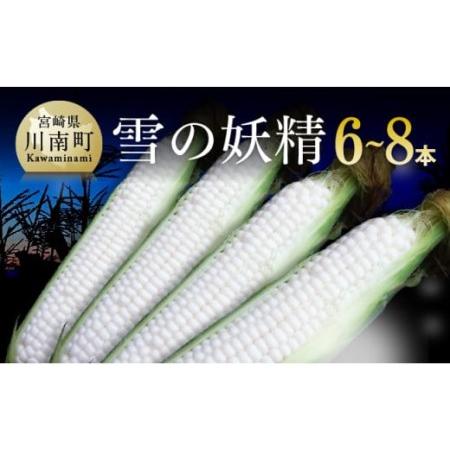 ふるさと納税 大山さんちのホワイトコーン(雪の妖精)6〜8本【 とうもろこし スィートコーン 2024年発送 先行受付 宮崎県産 九州.. 宮崎県川南町