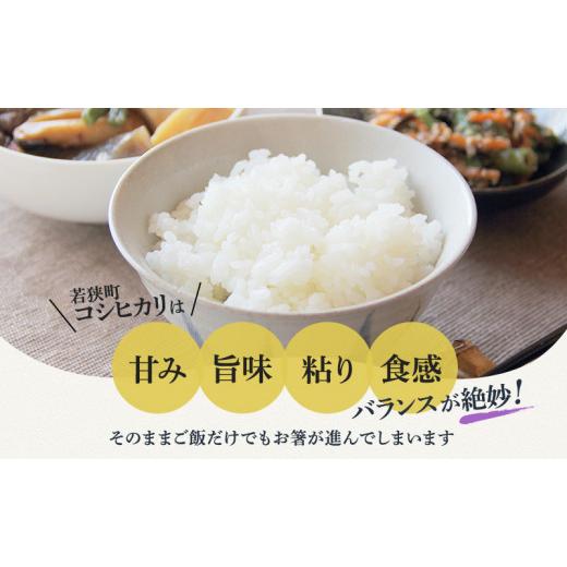 ふるさと納税 福井県 若狭町 令和5年産 福井県若狭町コシヒカリ（一等米） 5kg（山心ファーム） [No.5580-0460]