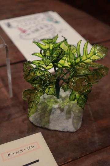 龜背葉 石砵小盆栽