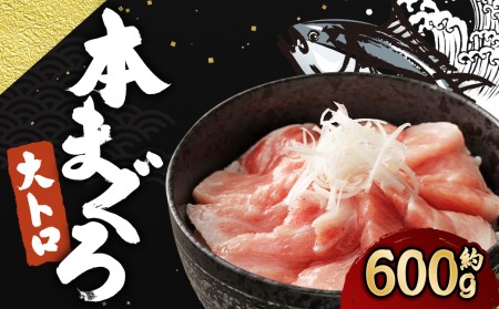 長崎県産 本マグロ 「大トロ」 約600g