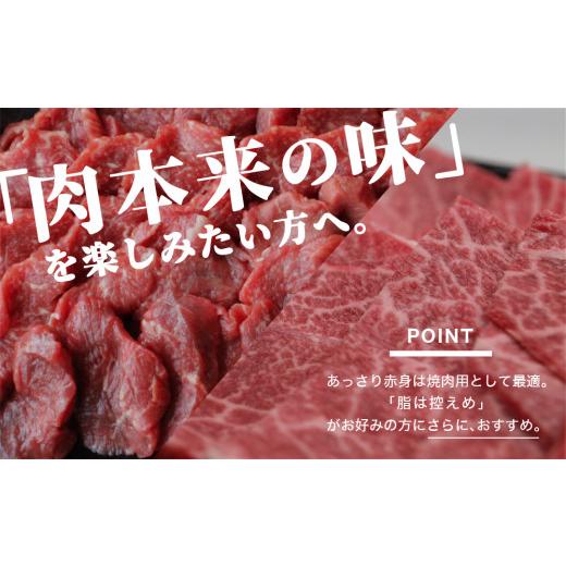 ふるさと納税 宮崎県 美郷町 宮崎県産 黒毛和牛 赤身 焼肉 500g トレイ包装 牛肉 ウデ モモ 焼肉 冷凍 九州産 送料無料 BBQ バーベキュー