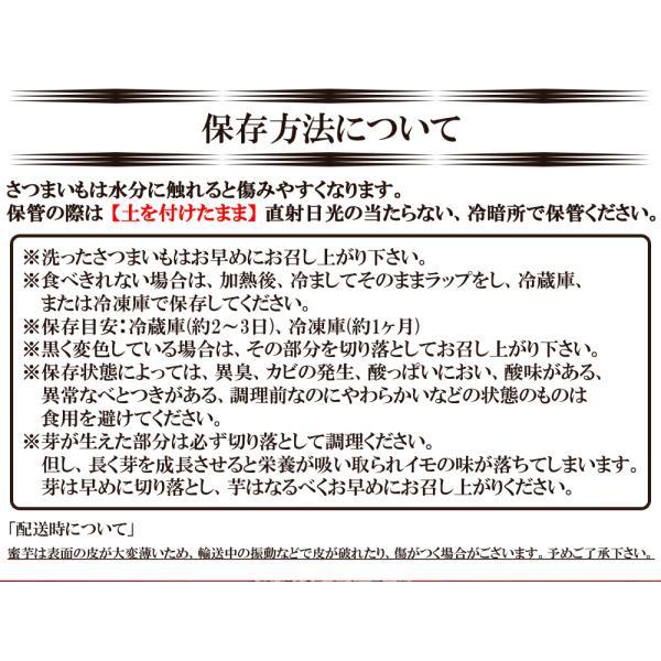 安納芋 5kg 送料無料 安納いも 安納イモ 産地直送 産直 土付き さつまいも さつま芋 薩摩芋 焼きいも 焼き芋 鹿児島県産 FJK-002