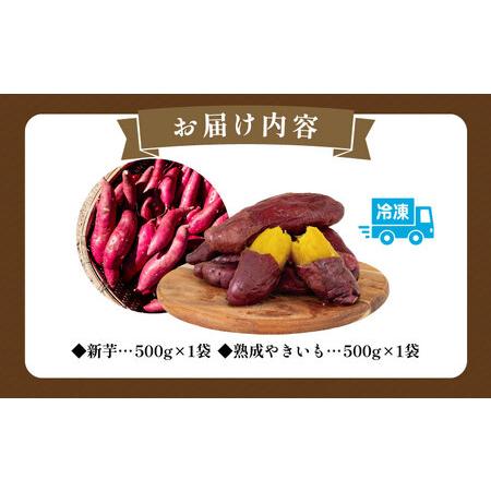 ふるさと納税 新芋＆熟成やきいもの食べ比べセット1kg 香り高い味わい ほくほくした食感 糖度50度以上 宮崎県宮崎市