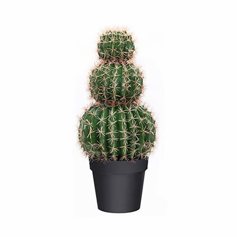 Binnny Flower サボテン フェイクグリーン 多肉植物 光触媒 観葉植物 フェイク 人工観葉植物 有害物質分解 大型 空 通販 Lineポイント最大0 5 Get Lineショッピング