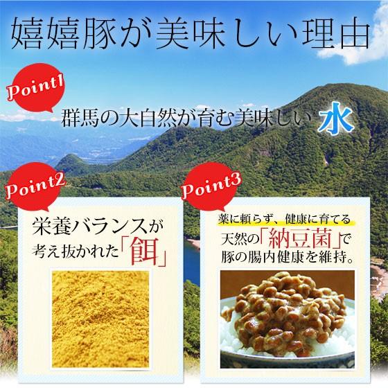 御歳暮 お歳暮 肉 ギフト 焼き肉 焼肉 熟成肉 豚肉 おふトン・嬉嬉豚 食べくらべ（各200g×2P）約800g