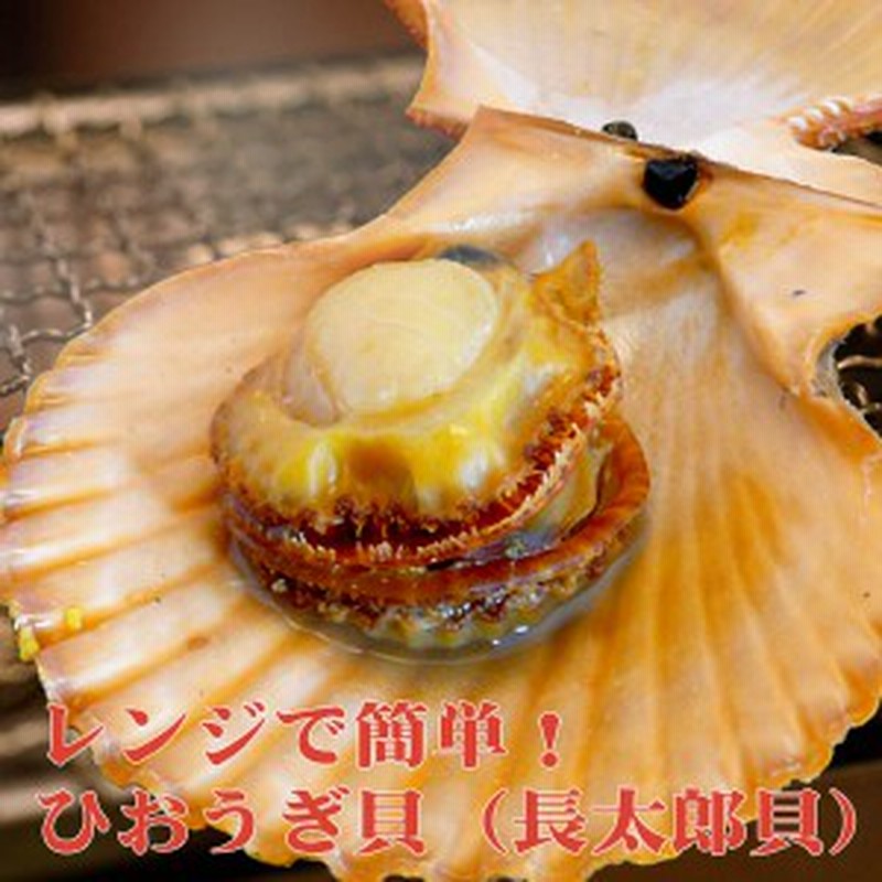 ひおうぎ貝 長太郎貝 10個セット 冷凍便 時短 レンチン ちょうたろう貝 酒の肴 父の日 おつまみ 高知 居酒屋メニュー 通販 Lineポイント最大1 0 Get Lineショッピング