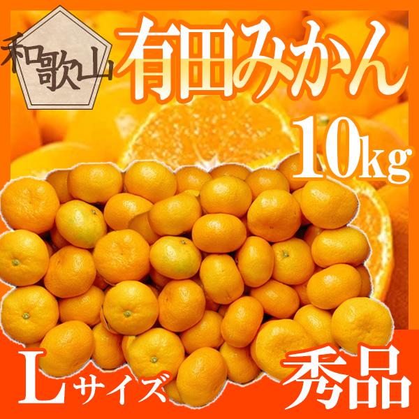 和歌山県産　有田みかん　L　約10kg　秀品