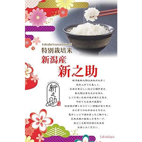 新米 精米 新潟県産 新之助 令和3年産 安心安全な特別栽培米 越後の米穀商高田屋 (5kg)