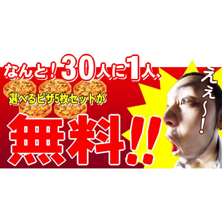 30人に1人が無料！選べるピザ5枚ラッキーセット 送料無料 クール料108円