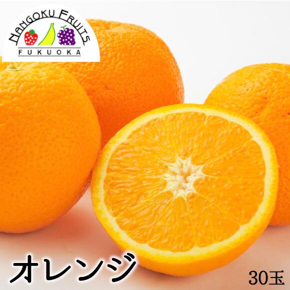 アメリカ／オーストラリア産オレンジ　30玉(1玉150g)