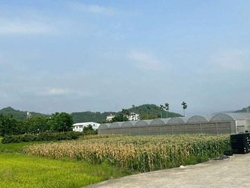 專賣霧峰舊正近交流道漂亮方正節稅美農地｜台中市霧峰區舊正東段