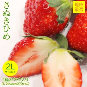 送料無料 地域厳選 いちご イチゴ さぬき姫 さぬきひめ 苺 秀品 特大 大粒 2L 以上 1箱 2パック入り 270g 2パック 秀