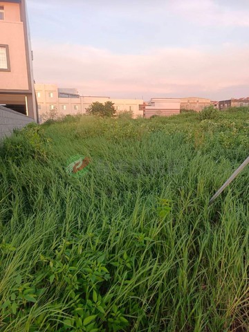 近道周路乙種工業用地｜彰化縣和美鎮和南段