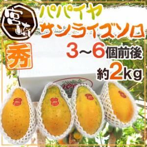 宮崎パパイヤ ”サンライズソロ” 3～6玉前後 約2kg 送料無料