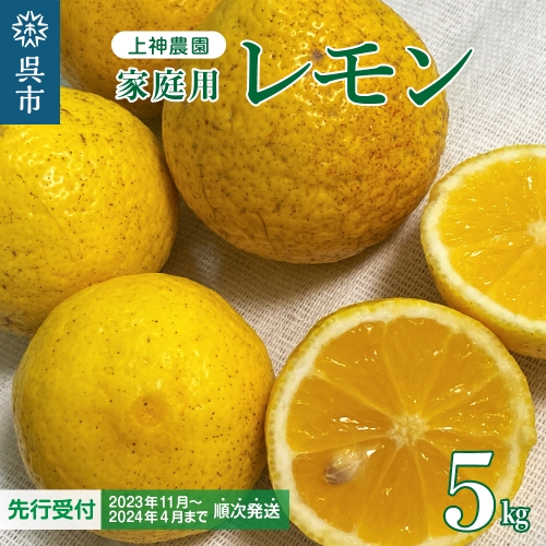 家庭用 広島産 レモン 約5kg